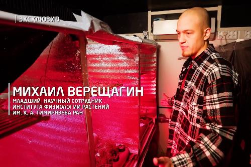 М.В. Верещагин рассказал РЕН ТВ зачем в ИФР РАН укладывают спать перцы и помидоры