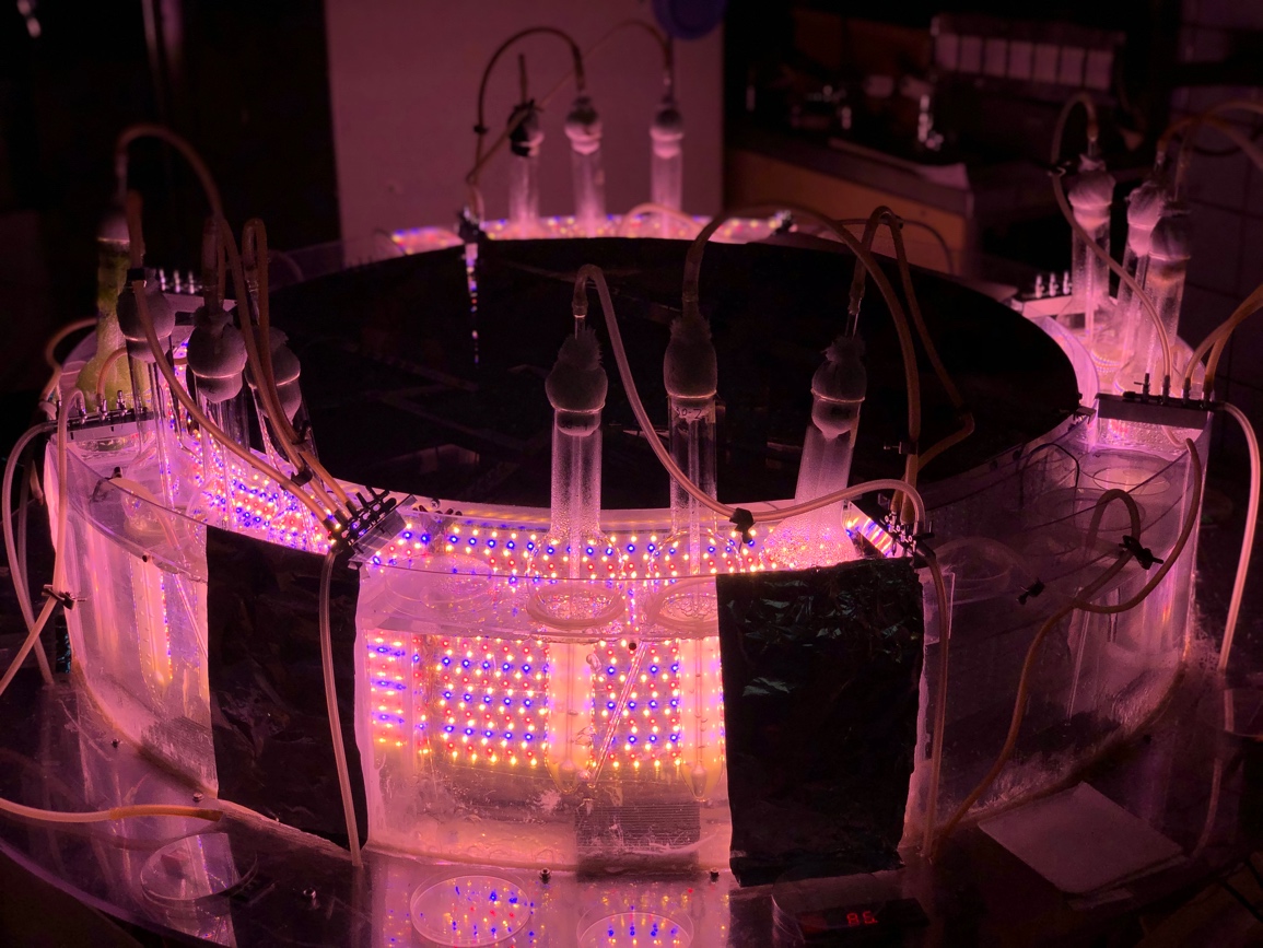 Проведена модернизация лабораторной установки для культивирования микроводорослей