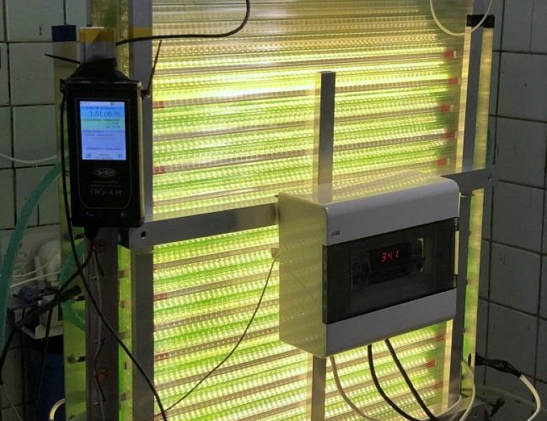 Модульный фотобиореактор для анализа захвата углекислого газа