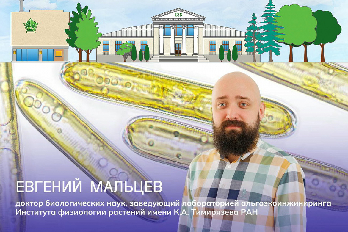 Е.И. Мальцев рассказал порталу Наука.РФ о современных исследованиях и популярных мифах в альгологии