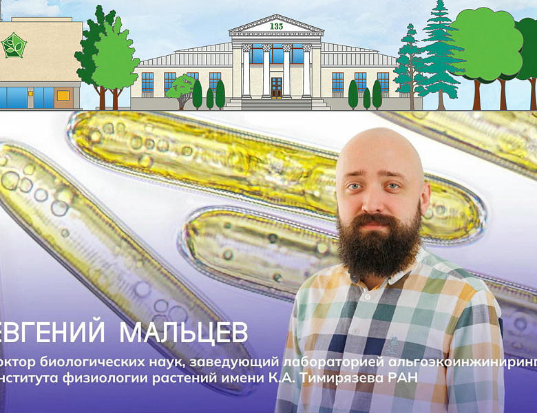 Е.И. Мальцев рассказал порталу Наука.РФ о современных исследованиях и популярных мифах в альгологии